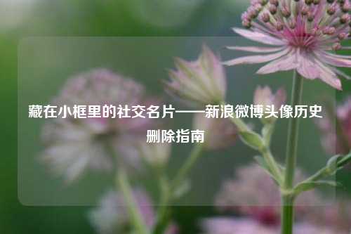 藏在小框里的社交名片——新浪微博头像历史删除指南