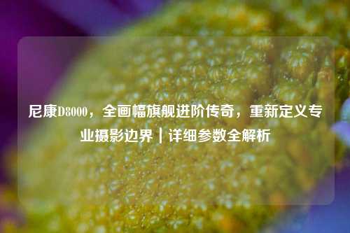 尼康D8000,全画幅旗舰进阶传奇,重新定义专业摄影边界|详细参数全解析