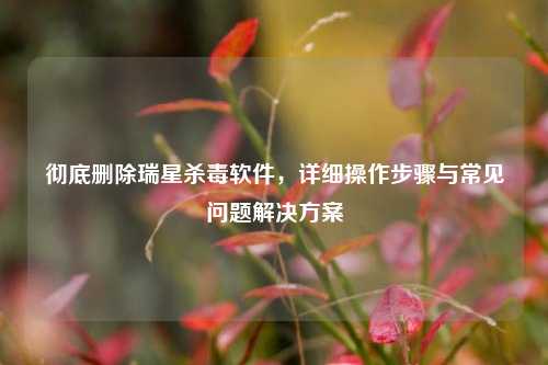 彻底删除瑞星杀毒软件，详细操作步骤与常见问题解决方案