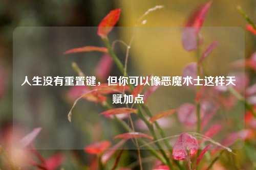 人生没有重置键，但你可以像恶魔术士这样天赋加点
