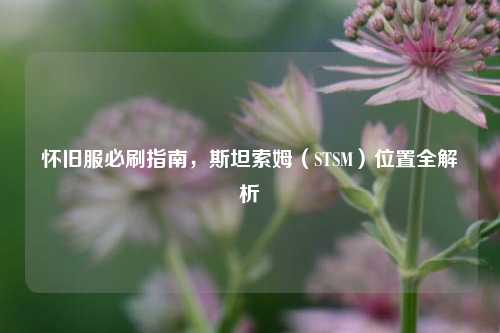 怀旧服必刷指南,斯坦索姆(STSM)位置全解析