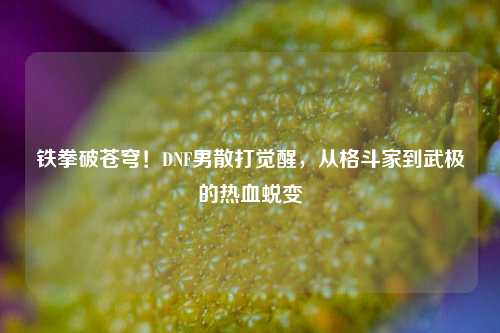 铁拳破苍穹！DNF男散打觉醒，从格斗家到武极的热血蜕变