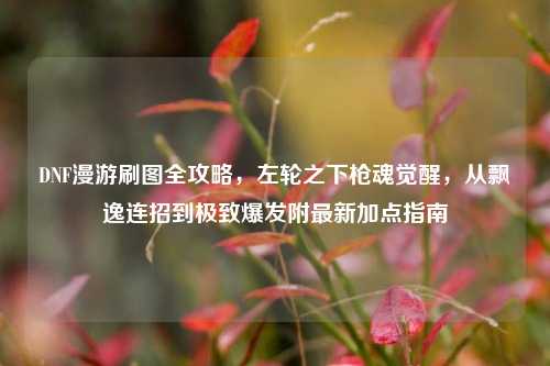 DNF漫游刷图全攻略，左轮之下枪魂觉醒，从飘逸连招到极致爆发附最新加点指南