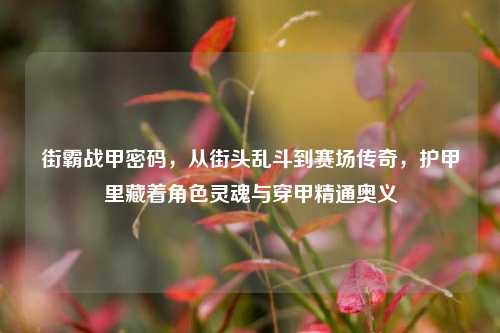 街霸战甲密码,从街头乱斗到赛场传奇,护甲里藏着角色灵魂与穿甲精通奥义