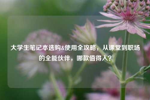 大学生笔记本选购&使用全攻略，从课堂到职场的全能伙伴，哪款值得入？