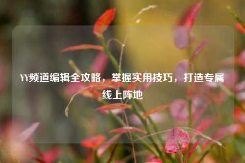 YY频道编辑全攻略，掌握实用技巧，打造专属线上阵地