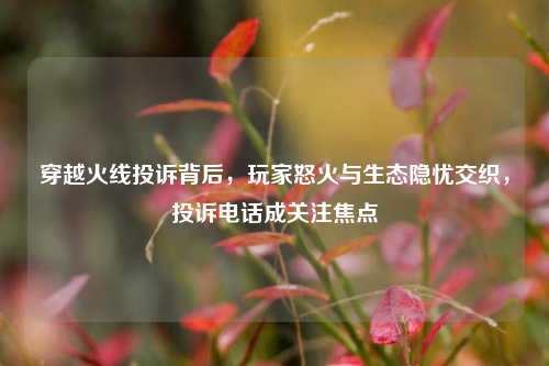 穿越火线投诉背后，玩家怒火与生态隐忧交织，投诉电话成关注焦点