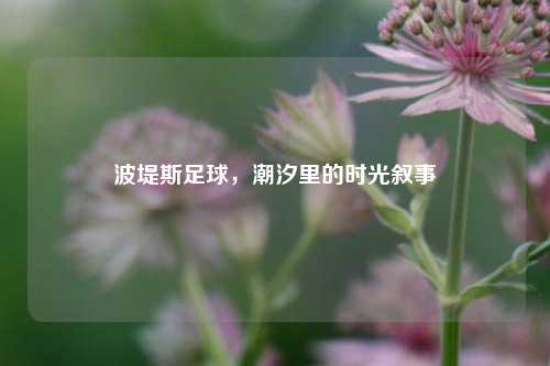 波堤斯足球，潮汐里的时光叙事