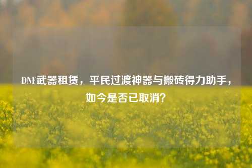 DNF武器租赁，平民过渡神器与搬砖得力助手，如今是否已取消？