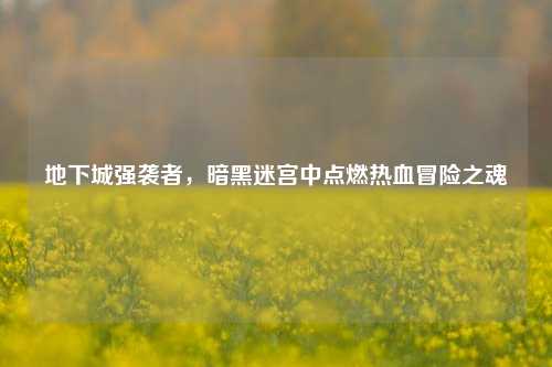 地下城强袭者,暗黑迷宫中点燃热血冒险之魂