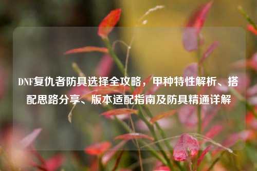 DNF复仇者防具选择全攻略，甲种特性解析、搭配思路分享、版本适配指南及防具精通详解