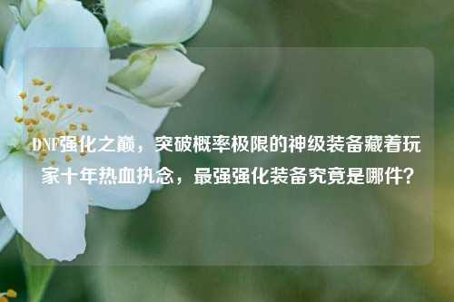 DNF强化之巅，突破概率极限的神级装备藏着玩家十年热血执念，最强强化装备究竟是哪件？