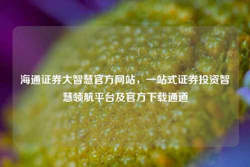 海通证券大智慧官方网站，一站式证券投资智慧领航平台及官方下载通道