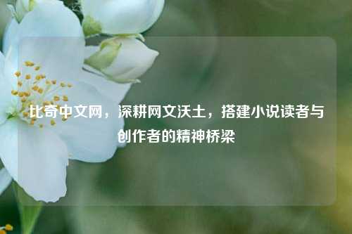 比奇中文网，深耕网文沃土，搭建小说读者与创作者的精神桥梁