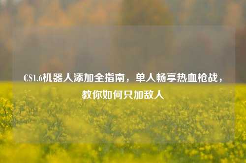 CS1.6机器人添加全指南，单人畅享热血枪战，教你如何只加敌人