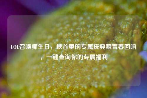 LOL召唤师生日,峡谷里的专属庆典藏青春回响,一键查询你的专属福利