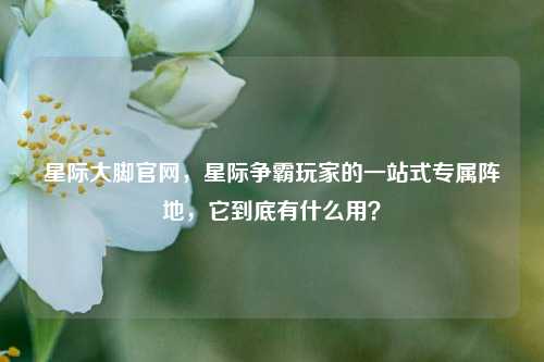 星际大脚官网，星际争霸玩家的一站式专属阵地，它到底有什么用？