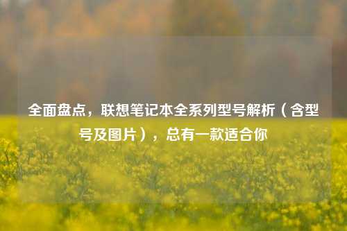 全面盘点,联想笔记本全系列型号解析(含型号及图片),总有一款适合你