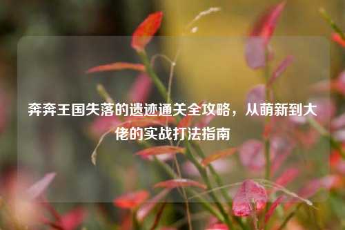 奔奔王国失落的遗迹通关全攻略，从萌新到大佬的实战打法指南