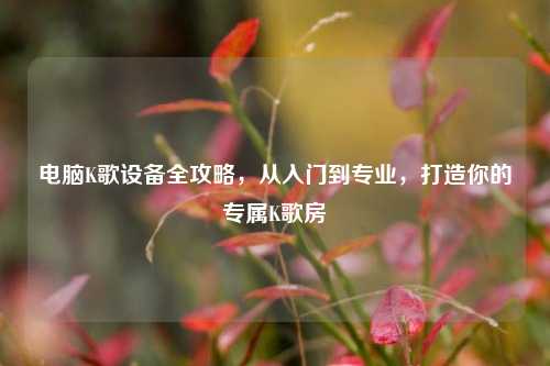 电脑K歌设备全攻略，从入门到专业，打造你的专属K歌房