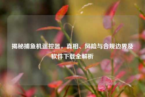 揭秘捕鱼机遥控器,真相、风险与合规边界及软件下载全解析