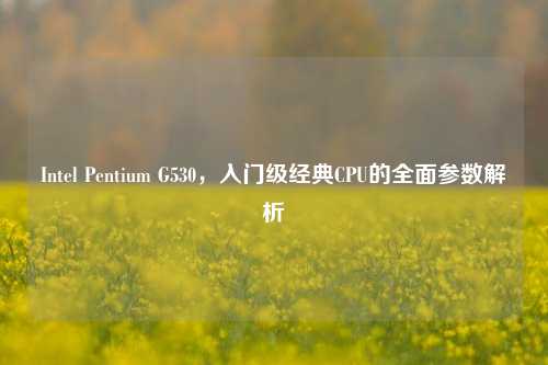 Intel Pentium G530,入门级经典CPU的全面参数解析