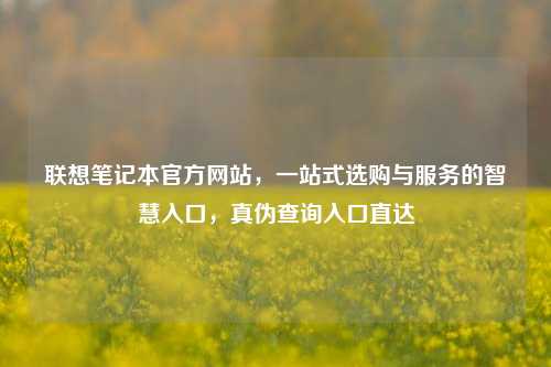 联想笔记本官方网站，一站式选购与服务的智慧入口，真伪查询入口直达
