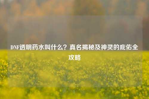DNF透明药水叫什么？真名揭秘及神灵的庇佑全攻略