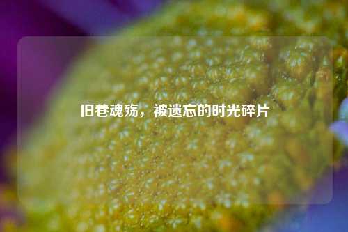 旧巷魂殇，被遗忘的时光碎片