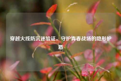 穿越火线防沉迷验证，守护青春战场的隐形护盾