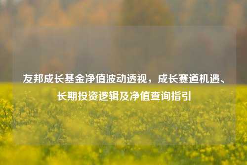 友邦成长基金净值波动透视，成长赛道机遇、长期投资逻辑及净值查询指引