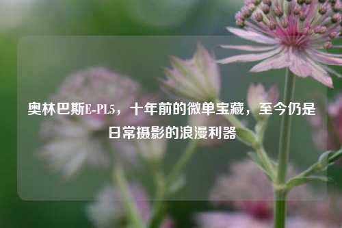 奥林巴斯E-PL5，十年前的微单宝藏，至今仍是日常摄影的浪漫利器