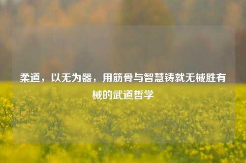 柔道,以无为器,用筋骨与智慧铸就无械胜有械的武道哲学