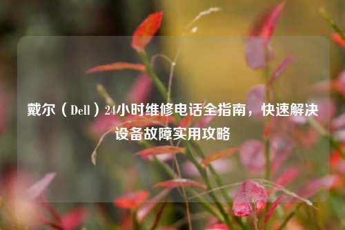 戴尔（Dell）24小时维修电话全指南，快速解决设备故障实用攻略