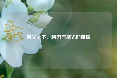 荣光之下,利刃与微光的碰撞