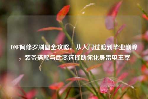DNF阿修罗刷图全攻略，从入门过渡到毕业巅峰，装备搭配与武器选择助你化身雷电主宰