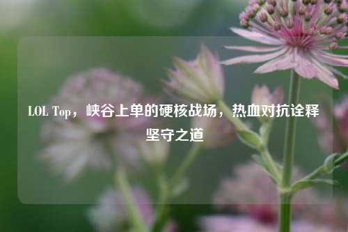 LOL Top，峡谷上单的硬核战场，热血对抗诠释坚守之道