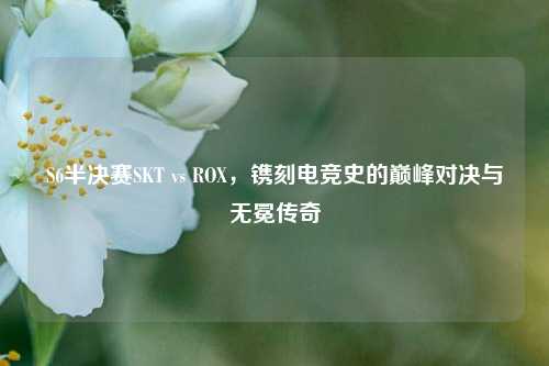 S6半决赛SKT vs ROX，镌刻电竞史的巅峰对决与无冕传奇