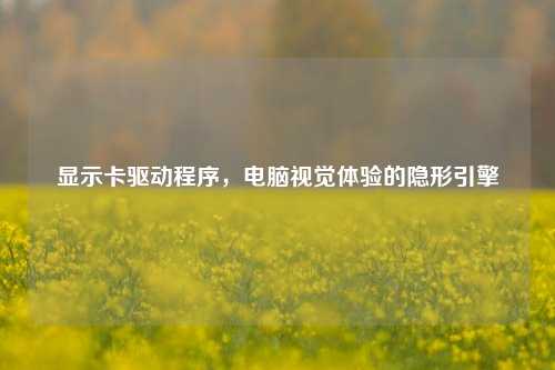 显示卡驱动程序,电脑视觉体验的隐形引擎