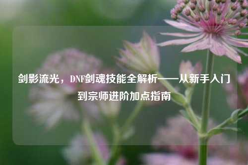 剑影流光,DNF剑魂技能全解析——从新手入门到宗师进阶加点指南
