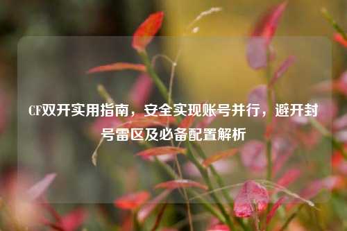 CF双开实用指南,安全实现账号并行,避开封号雷区及必备配置解析