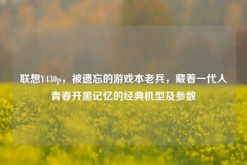 联想Y430p，被遗忘的游戏本老兵，藏着一代人青春开黑记忆的经典机型及参数
