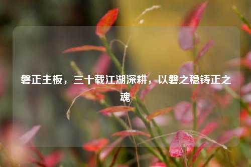 磐正主板，三十载江湖深耕，以磐之稳铸正之魂