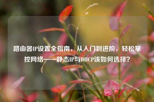 路由器IP设置全指南，从入门到进阶，轻松掌控网络——静态IP与DHCP该如何选择？