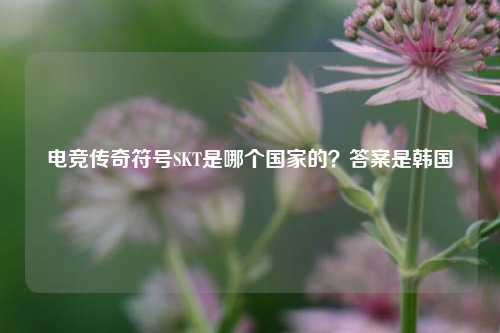 电竞传奇符号SKT是哪个国家的?答案是韩国