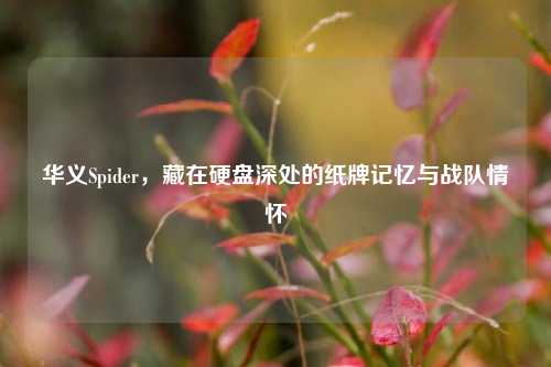 华义Spider,藏在硬盘深处的纸牌记忆与战队情怀