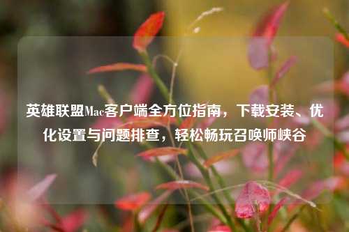 英雄联盟Mac客户端全方位指南，下载安装、优化设置与问题排查，轻松畅玩召唤师峡谷