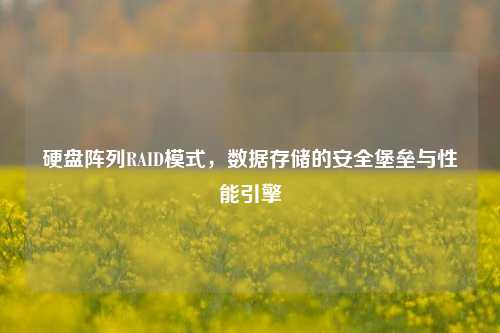 硬盘阵列RAID模式，数据存储的安全堡垒与性能引擎