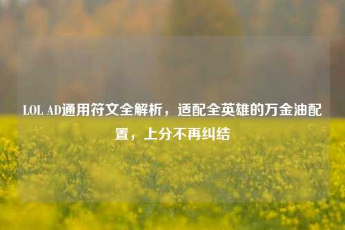 LOL AD通用符文全解析,适配全英雄的万金油配置,上分不再纠结