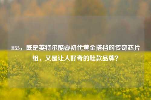 H55，既是英特尔酷睿初代黄金搭档的传奇芯片组，又是让人好奇的鞋款品牌？